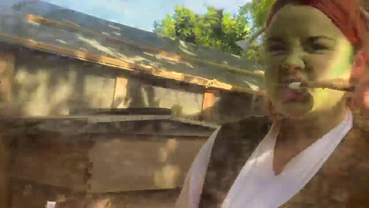 SHREK opening scene
