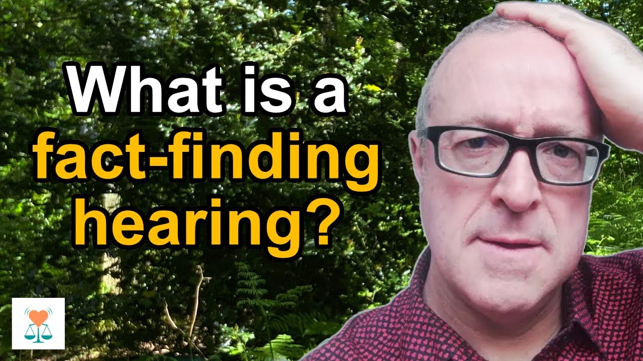What is a fact finding hearing in family courts ? Professional McKenzie Friend explains