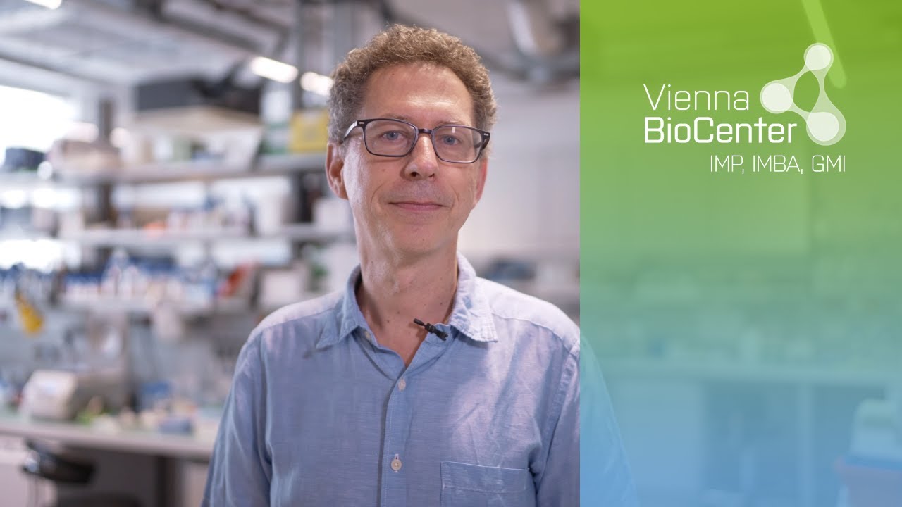 Frédéric Berger | Scientist Snapshot | GMI, Vienna BioCenter