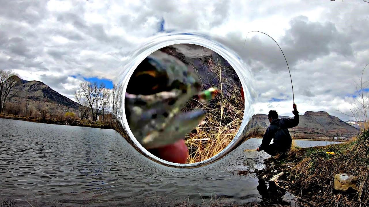 Dry Fly Fishing in Parachute, Colorado | Parachute Adams