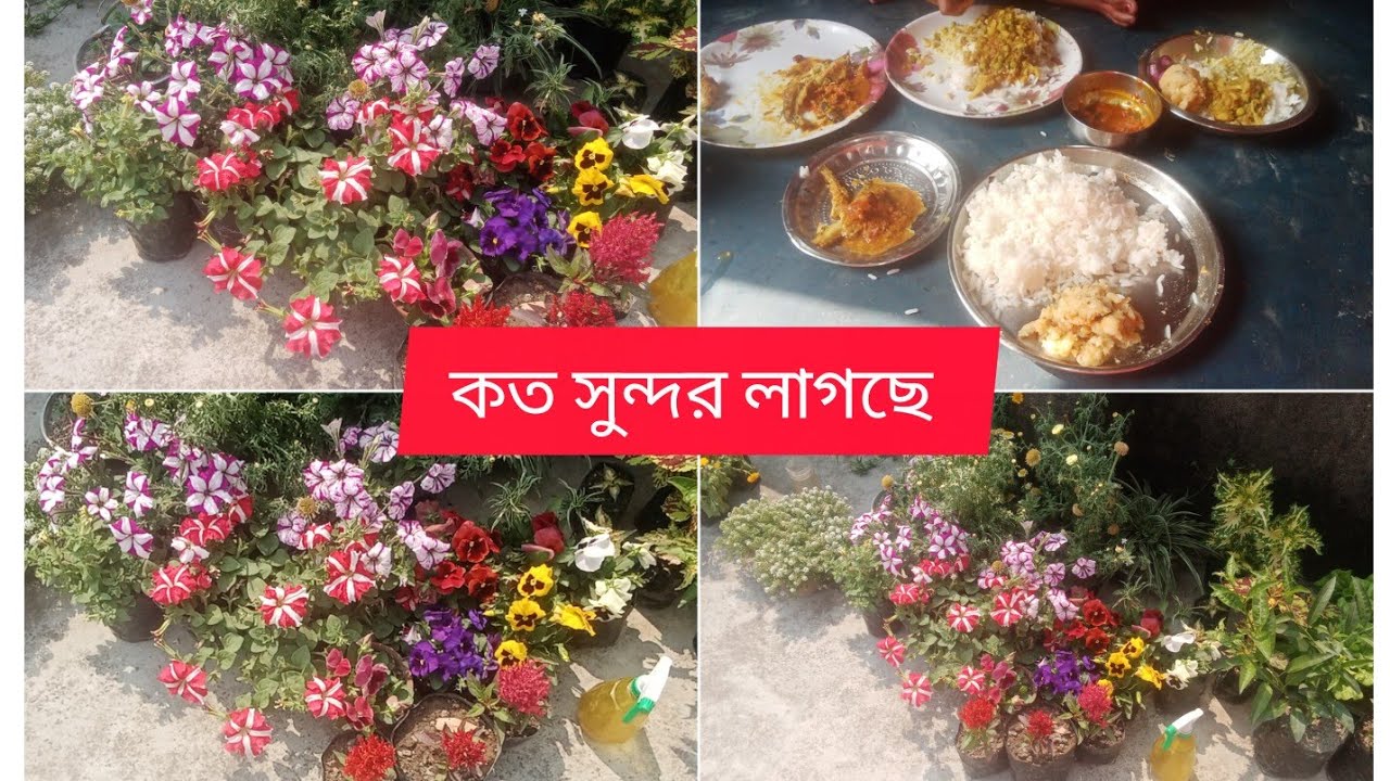 Bangla vlog#ভালো-মন্দ খেয়ে তারপরের দিন পেট খারাপ