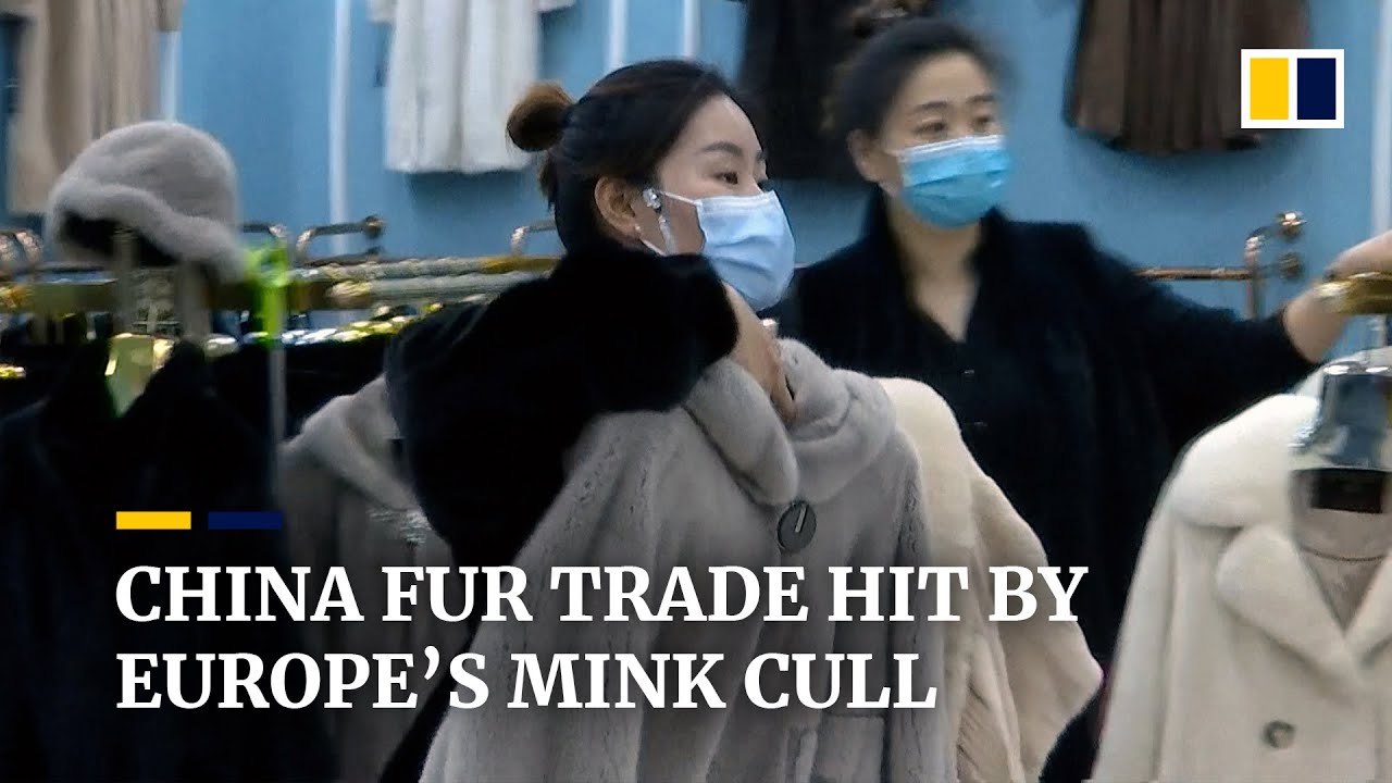 Chinese fur industry feels impact of Europe&rsquo;s cull of minks because of coronavirus outbreaks