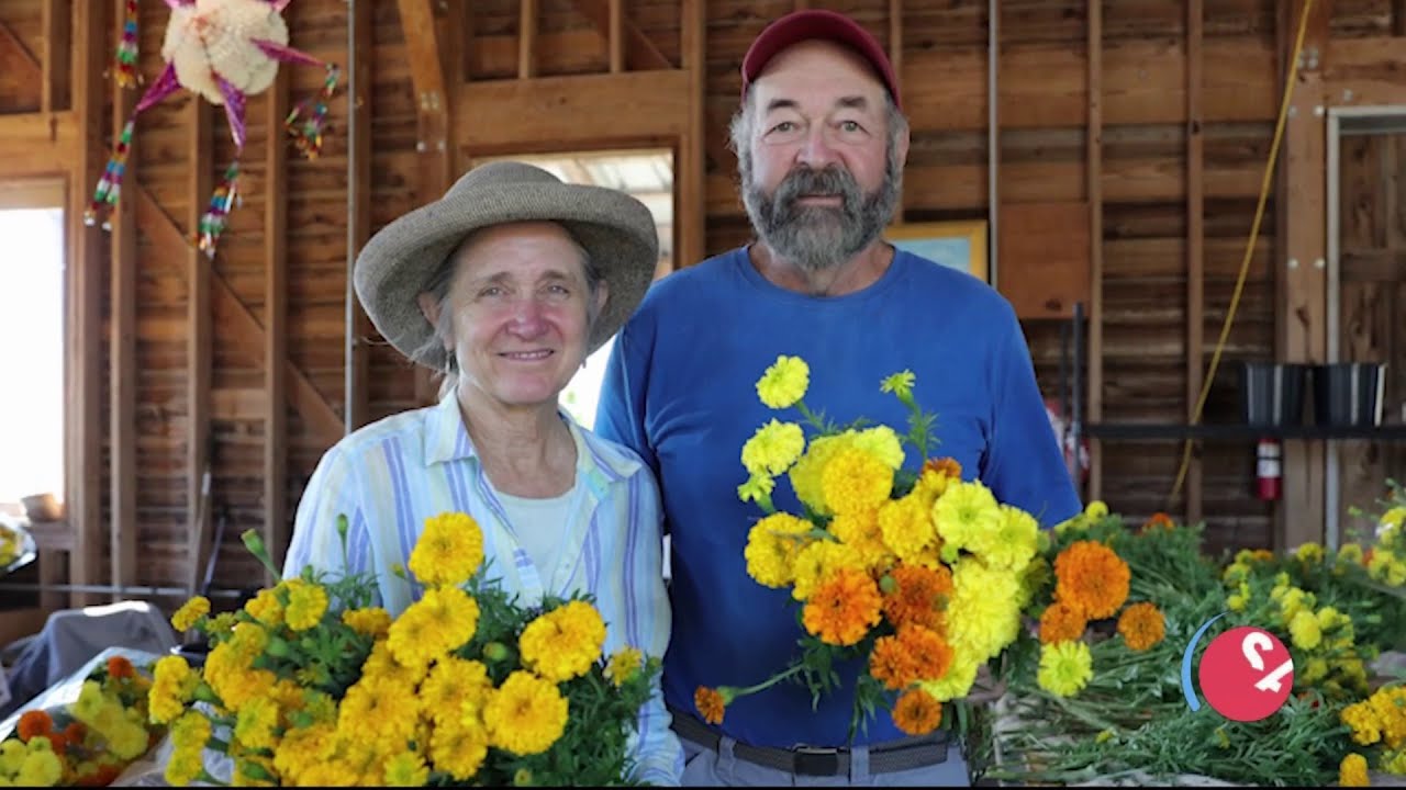 This Blanco family farm is the largest provider of marigolds in Texas