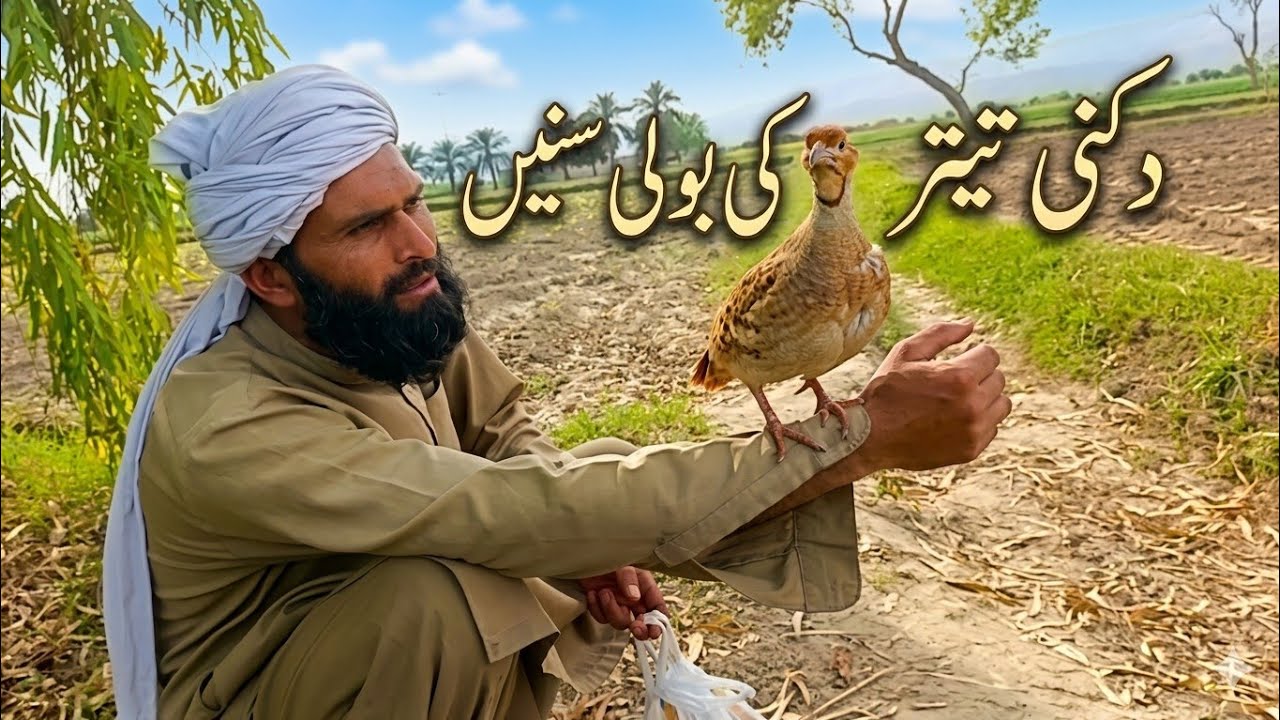 M jaan my new video 3🤜