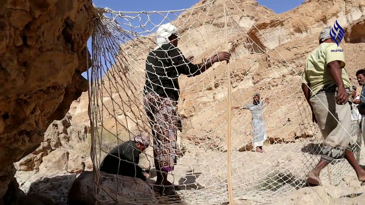 ظمن تغطيها الحصرية قناة قسم ترصد  عملية قناصة حافة منطقة قسم  (نصب شباك صيد الوعل )