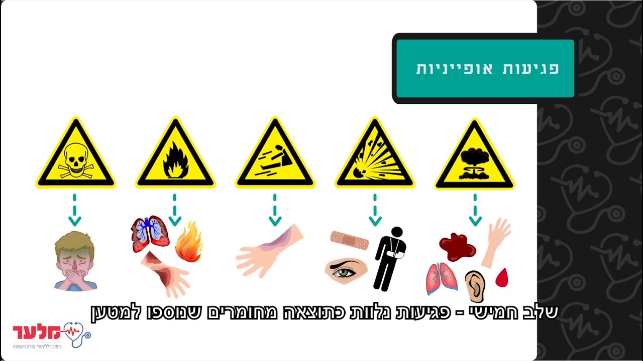 פגיעות הדף ומעיכה | מלער קורס עזרה ראשונה