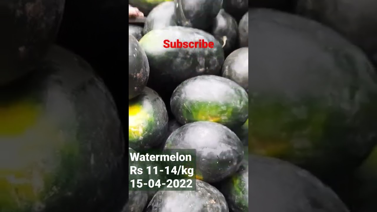 #watermelon #price Rs 11-14 per kg