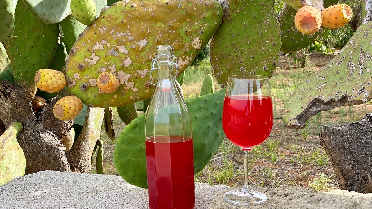 VINO di FICHI D'INDIA fatto in casa 🍾 Come fare il Vino in Casa 🍷 Fare il Vino con la Frutta