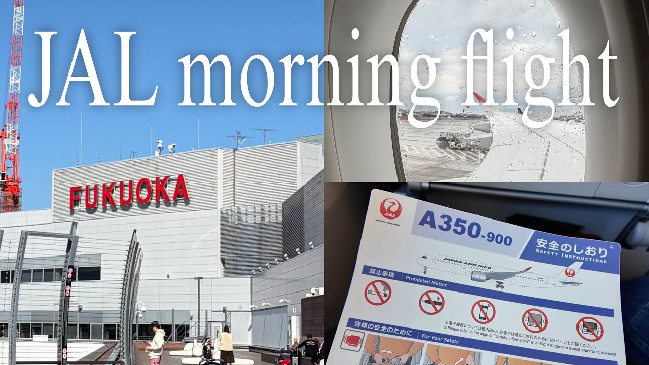 【日本航空】JAL搭乗記録撮ってみた🛩️🔴A350-900