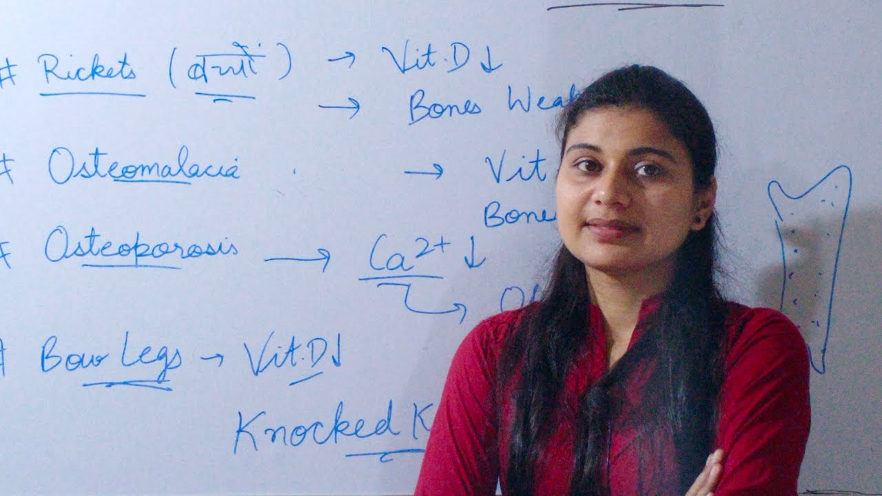 Skeletal system कंकाल तंत्र / Biology / Lesson-3 / Bones अस्थि/हड्डी / Bone Diseases / Science hindi