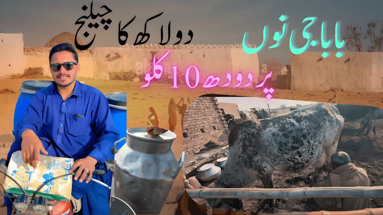 Rohi Mein Doodh Ki Production Kaise Hoti  Challange  🐄 | Village Vlog  Rohi Ma  Doodh Aur Mehnat