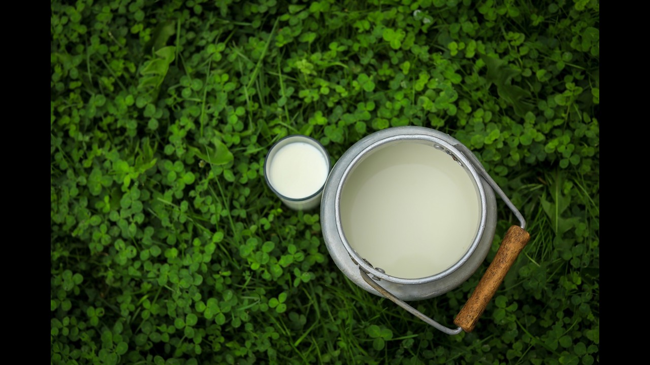 Why is there a war on raw milk? Sally Fallon Morell