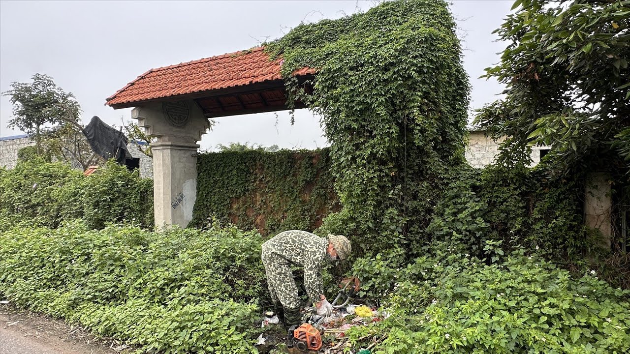 2 Young Men Left Their Wives to Clean up a Sidewalk Attacked by Weeds and Trash