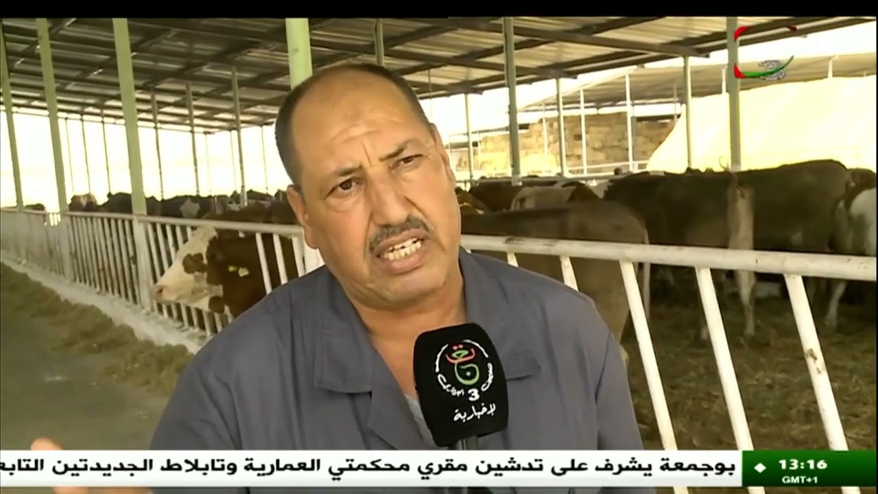 #المسيلة تتعزز بمنشآت تخزين وقدرات إنتاجية هامة في الحليب والزراعات الاستراتيجية والاشجار المقاومة.