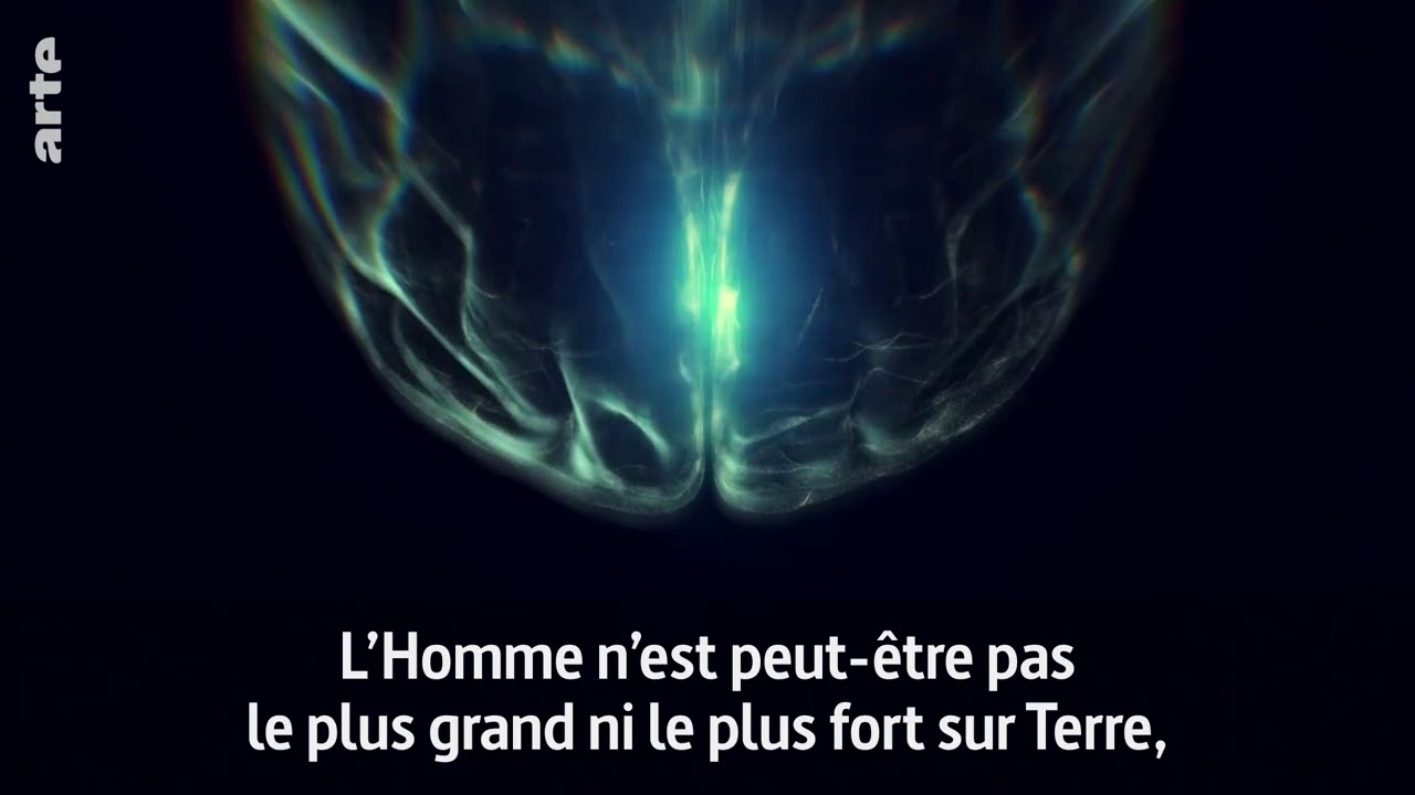 L'intelligence de la nature, de l'homme...