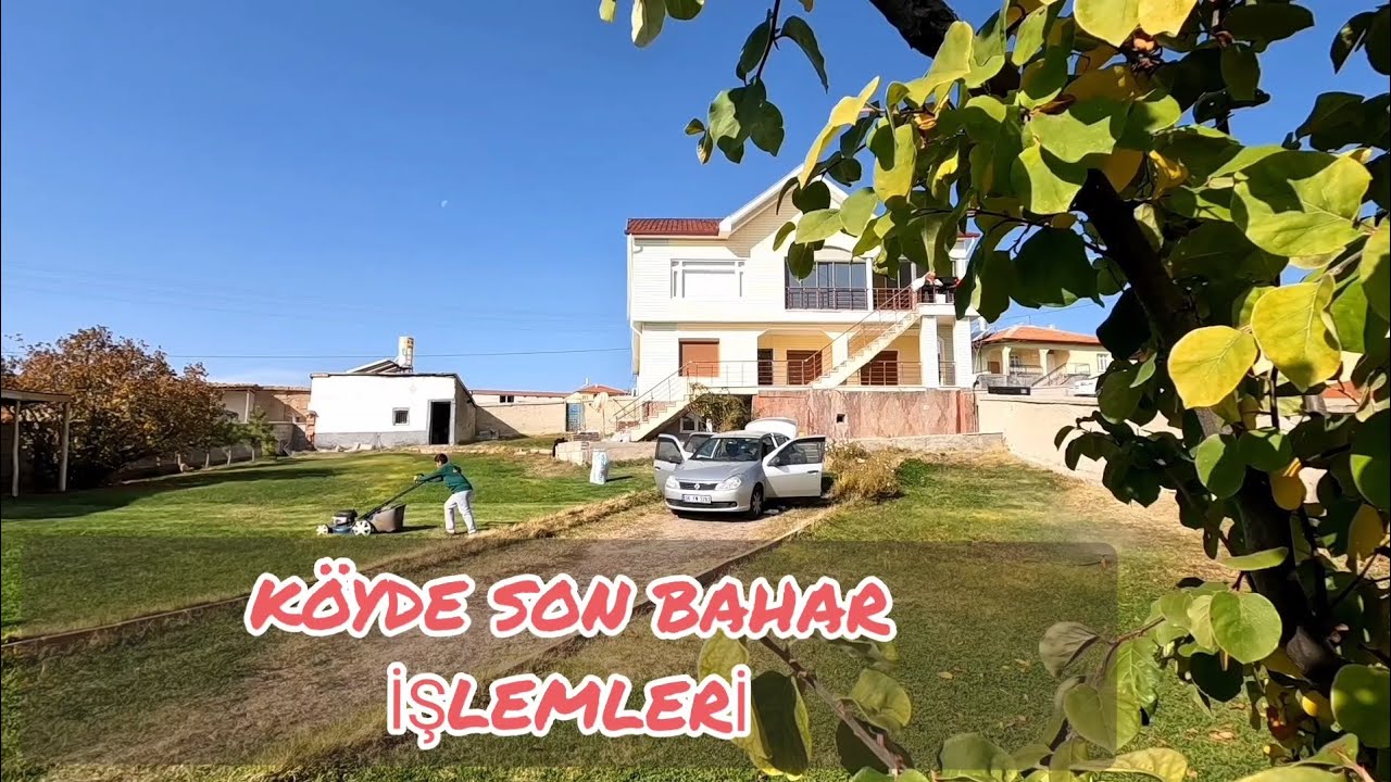 KÖYDE  AĞAÇ BUDAMA KÖY İŞLERİ SON RUTUŞLAR