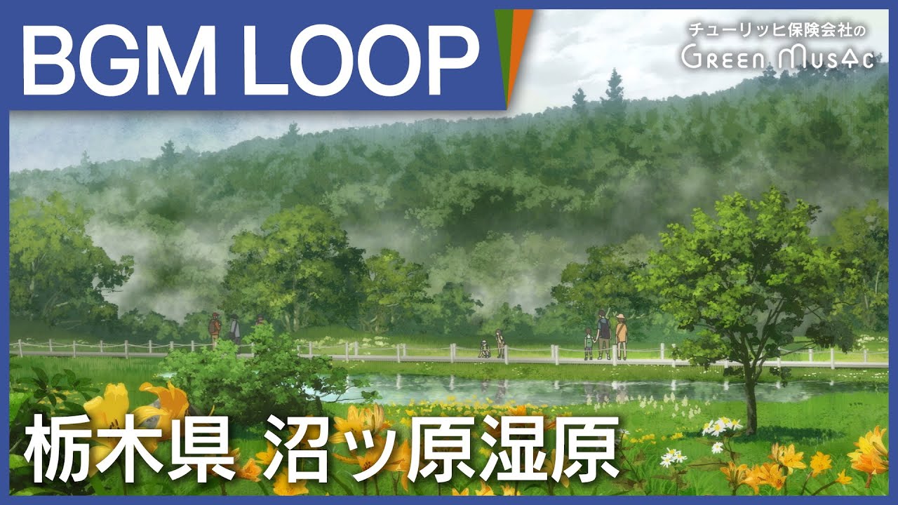 作業用BGM - 湿原の澄んだ空気に包まれるチルミュージック【集中/勉強/睡眠】