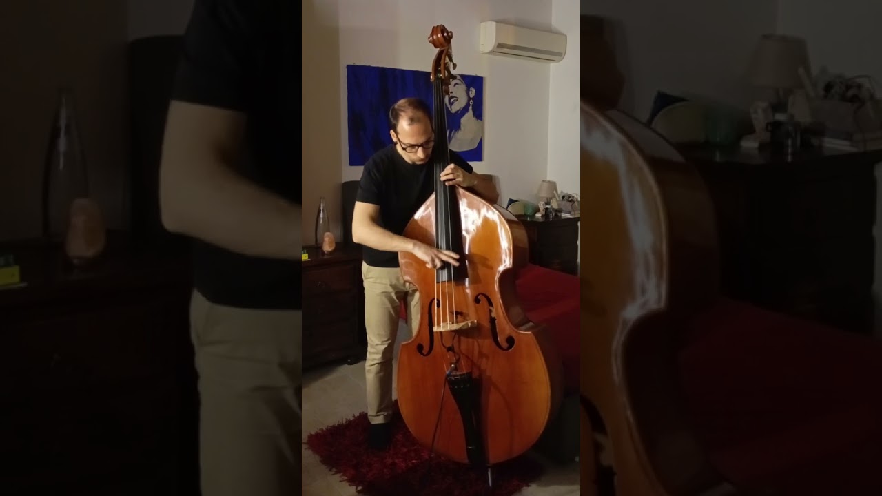 Goodbye Pork Pie Hat - Charles Mingus - Bass solo arrangement Dave Holland