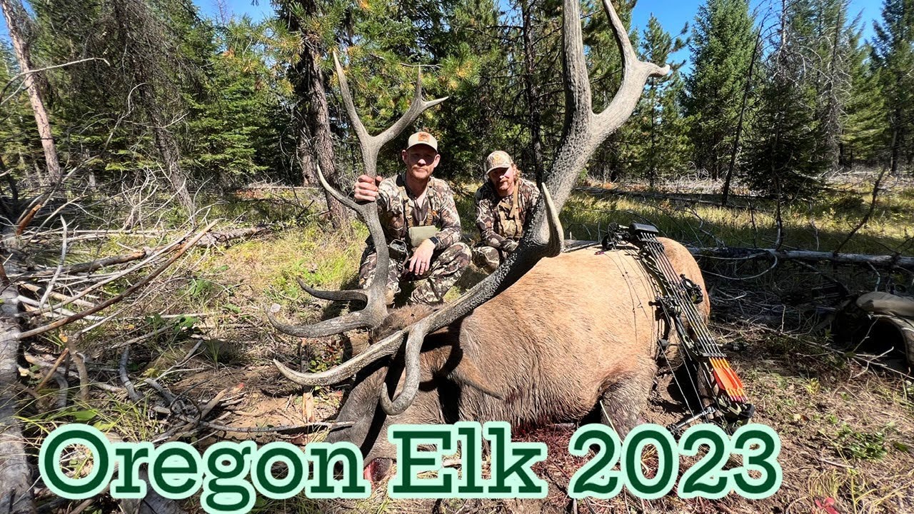Oregon Elk // 2023 Archery Hunt