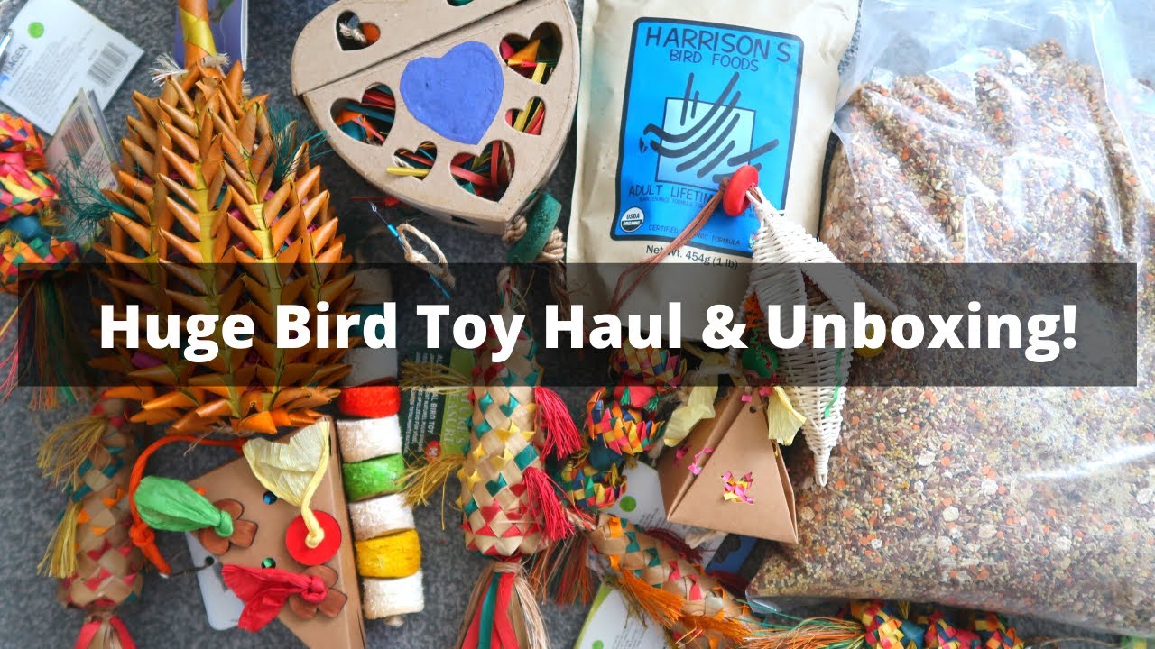 Huge Parrot Toy Haul & Unboxing! | BirdNerdSophie