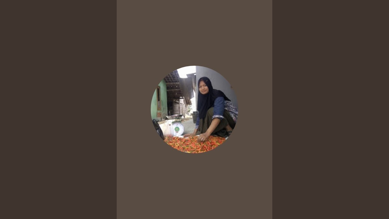 Juminten Ae sedang live sekarang! ngirim kesawah🍩🍪☕‼️ sekalian panen cabai