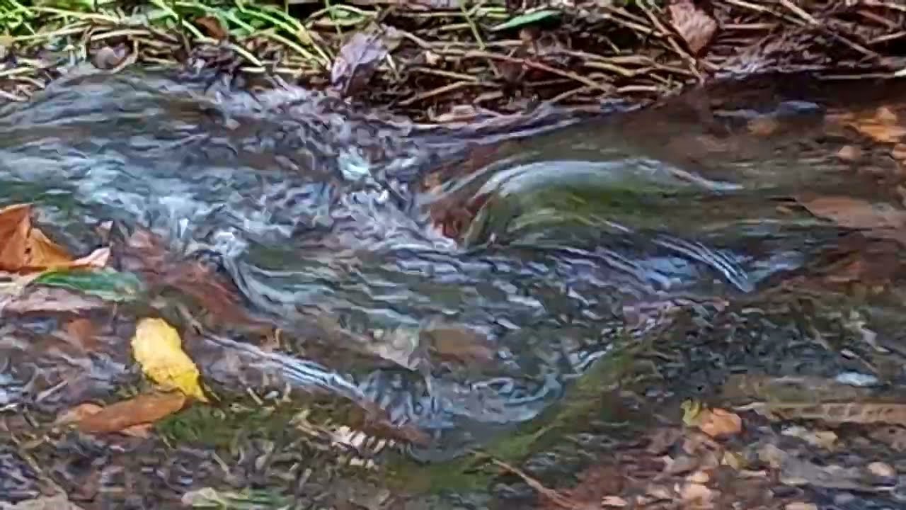 Águas descendo do riacho para relaxar dormir e meditar 