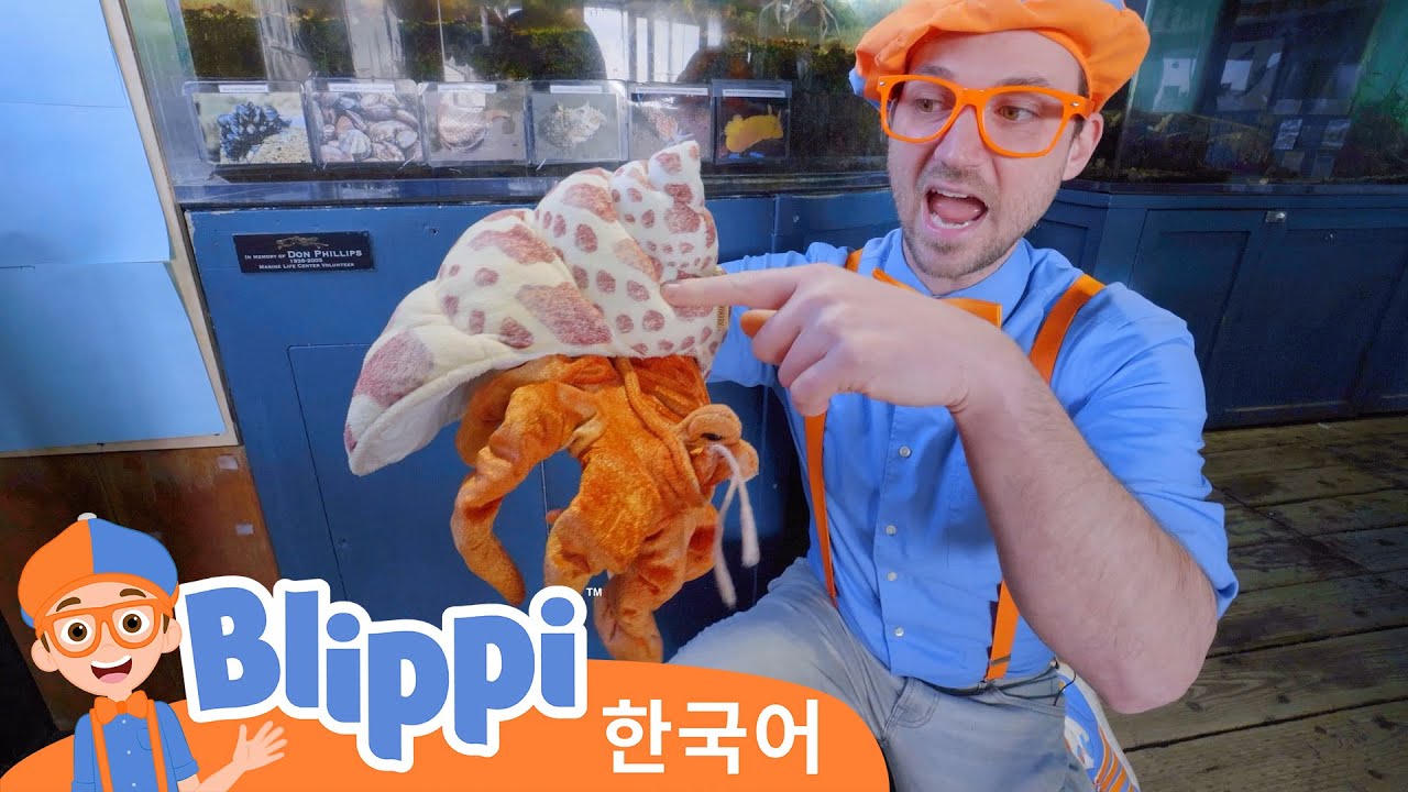 블리피와 해양 생물에 대해 배우기・블리피 한국어 | 어린이 교육 동영상
