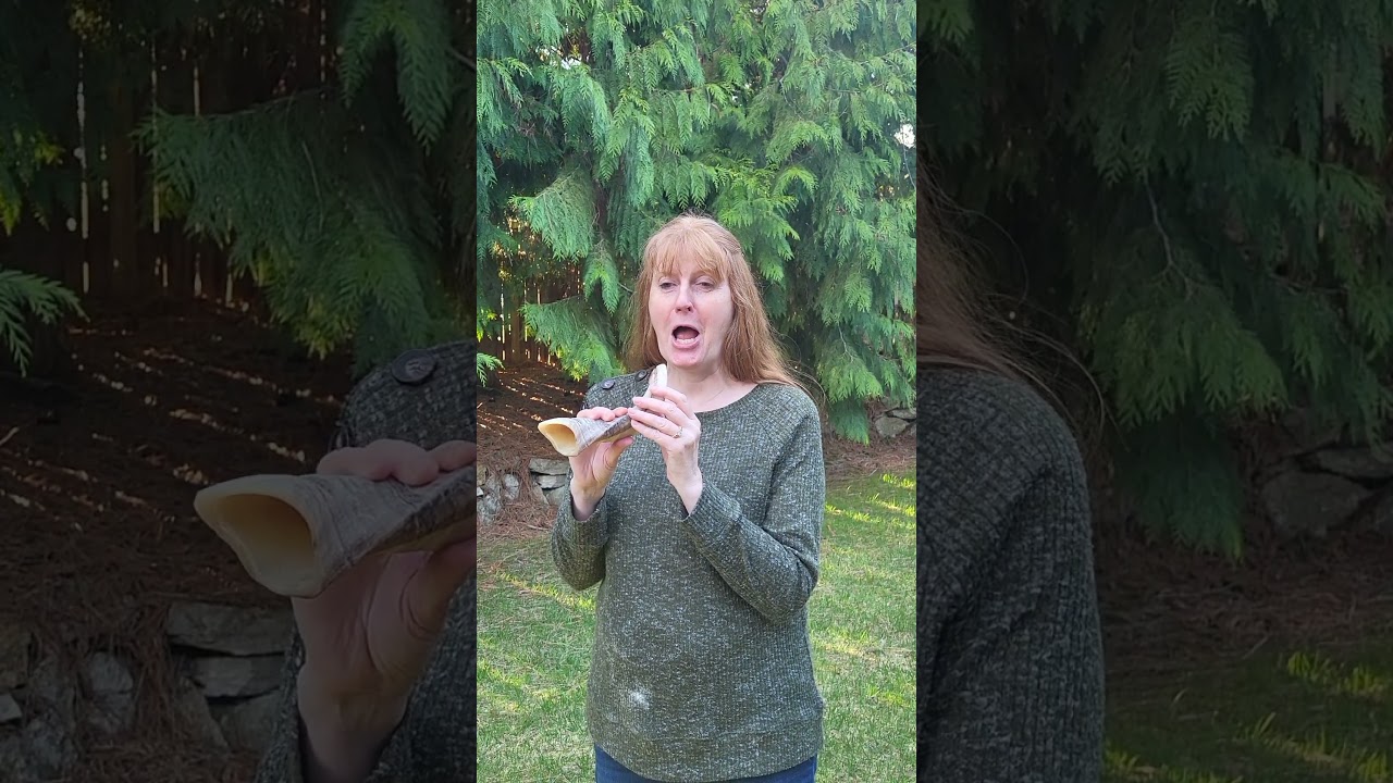 I learned how to blow a shofar!