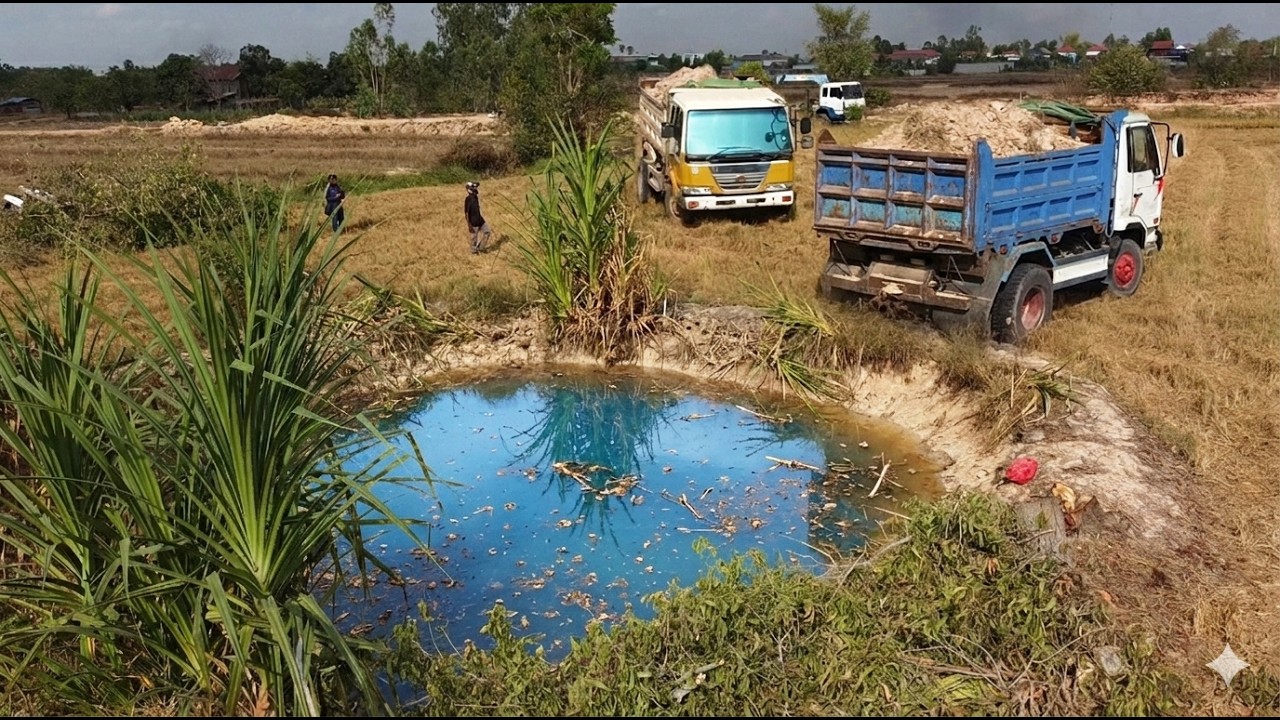 First Start New PROJECT!! Landfill Delete Useless Deep Fish Pond Use Strong Bulldozer & 5Ton Truck.