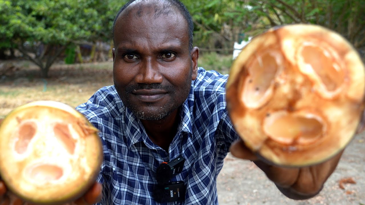 FRUSH PALM FRUITS asmr EATING ' WEIRD' SOUNDS,