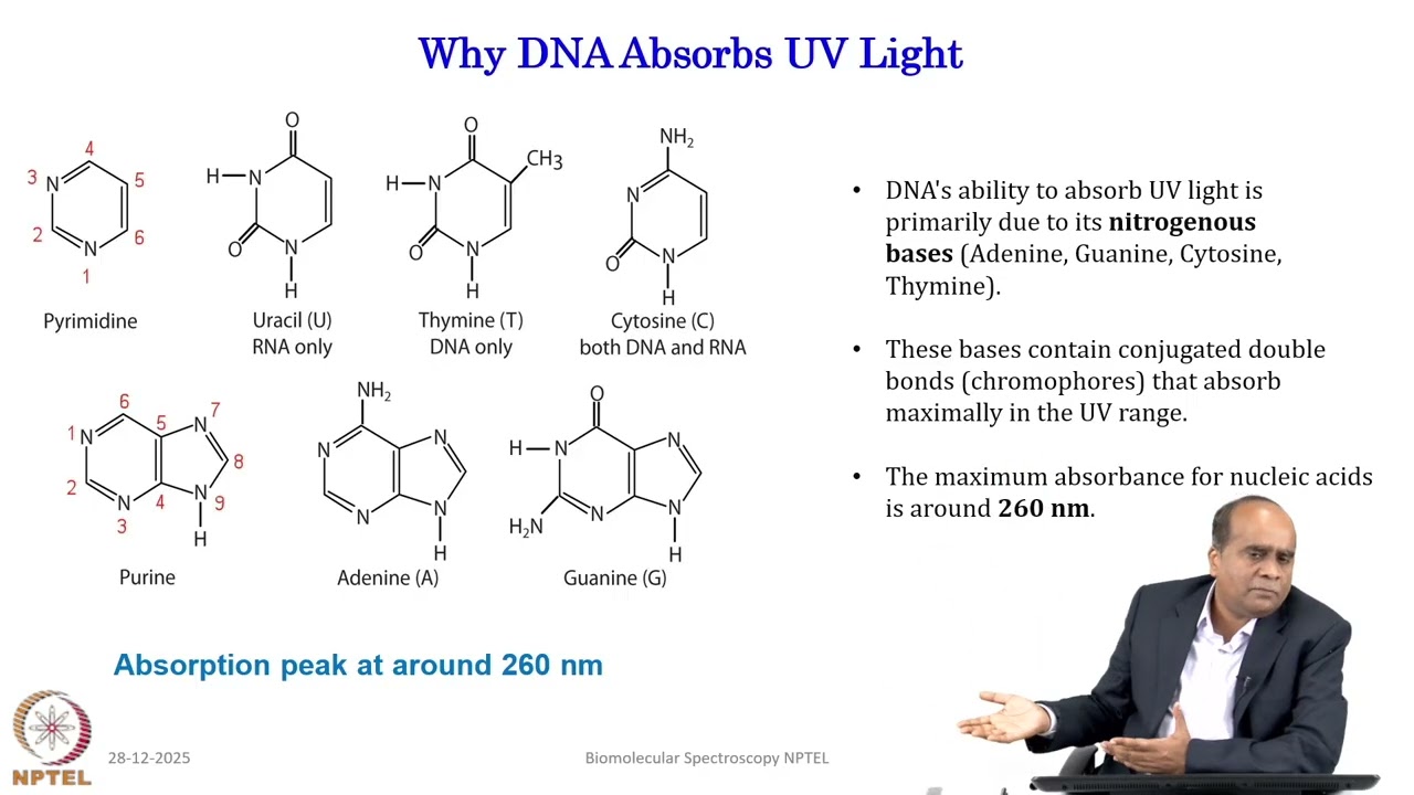 Week 2: Lecture 9: Structural studies DNA using absorption spectroscopy. Helix coil transition...