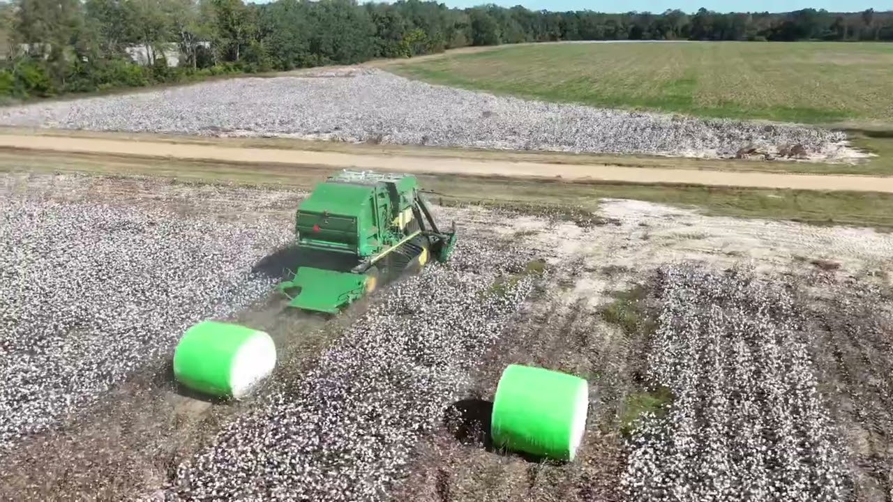 John Deere CP690 cotton picker harvesting Deltapine 2333 cotton. #farming #johndeere #georgia
