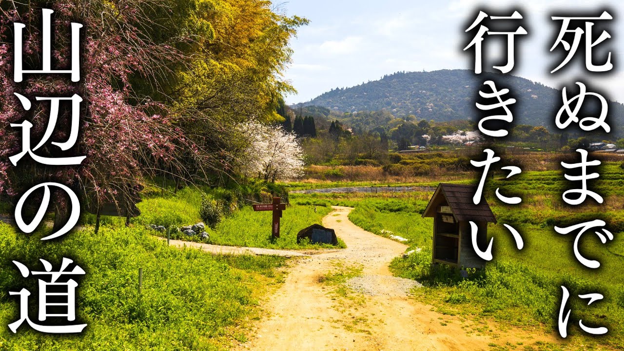 【日本最古の道】山の辺の道、春の絶景スポット 24選｜天理→大神神社 - JAPAN in 8K