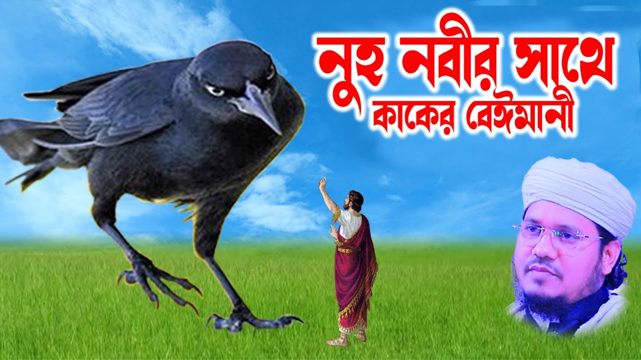 মোজাম্মেল হক সাঈদ । Mozammel Haque Sayed | sayed waz | abdullah tv | 01813809850 - নুহ নবী ও কাক