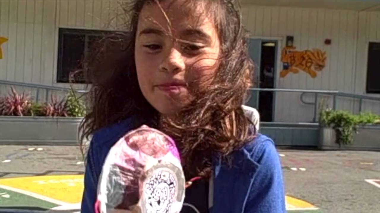 Panda Power Challenge - Ms. Whitcomb's Third Graders
