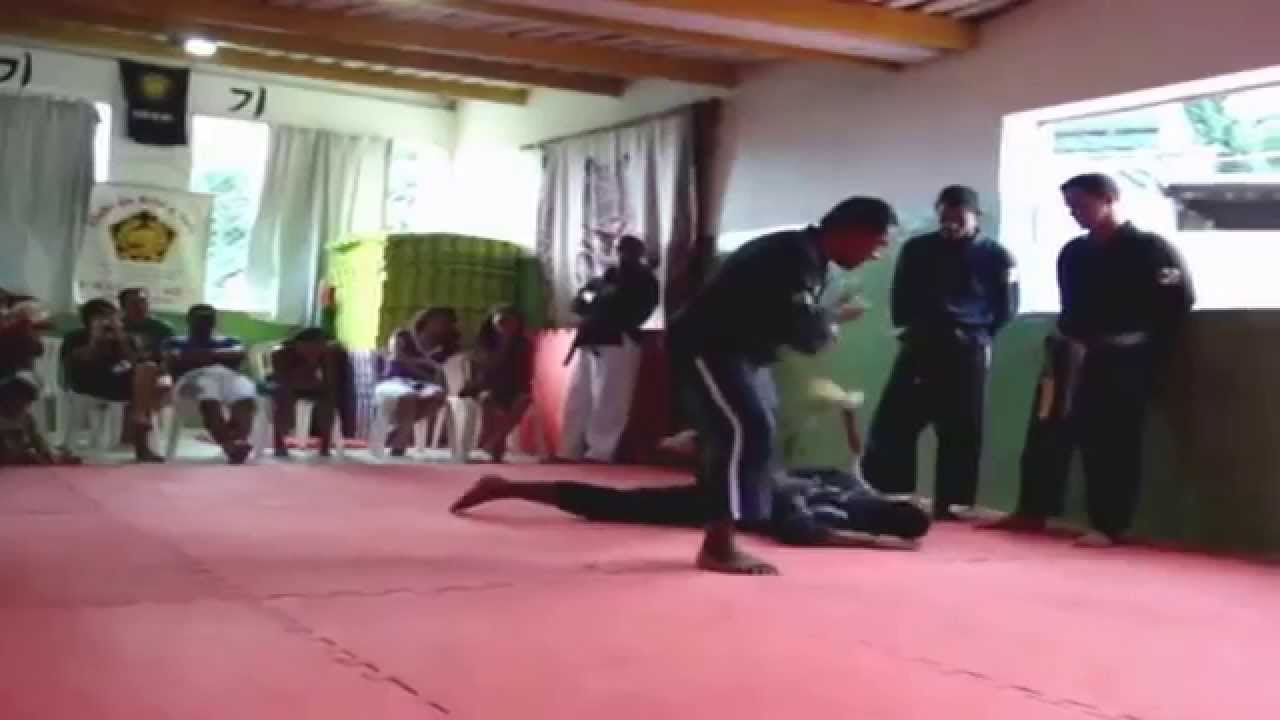 01 Hoshindo Hapkido Weapons Grand Master Mauro Cesar 9th Dan