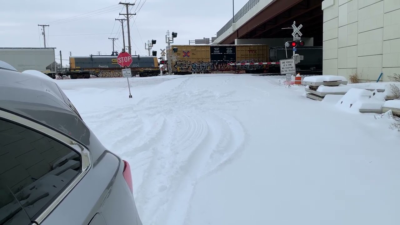 cabin fever a mile south of L M Cabin 01/27/2026