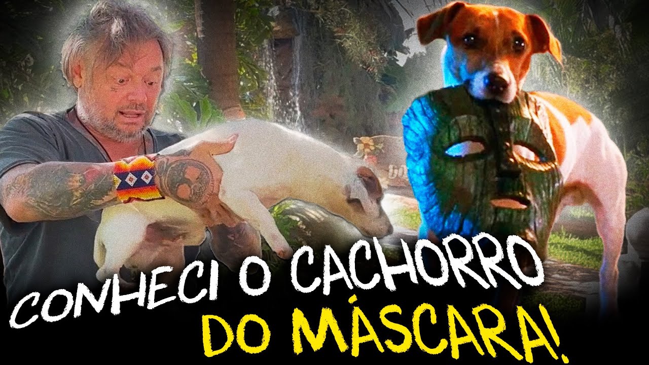 JACK RUSSEL, O LIGEIRO CÃO DO MASKARA!