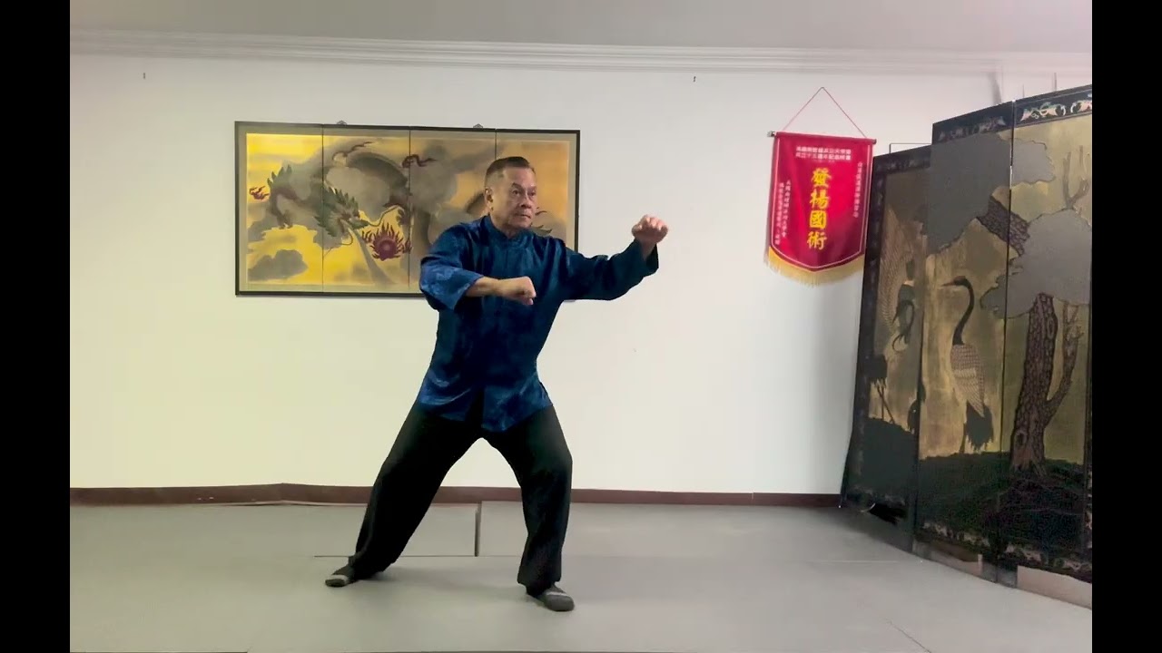 Tai Chi - Section 2 Continuation