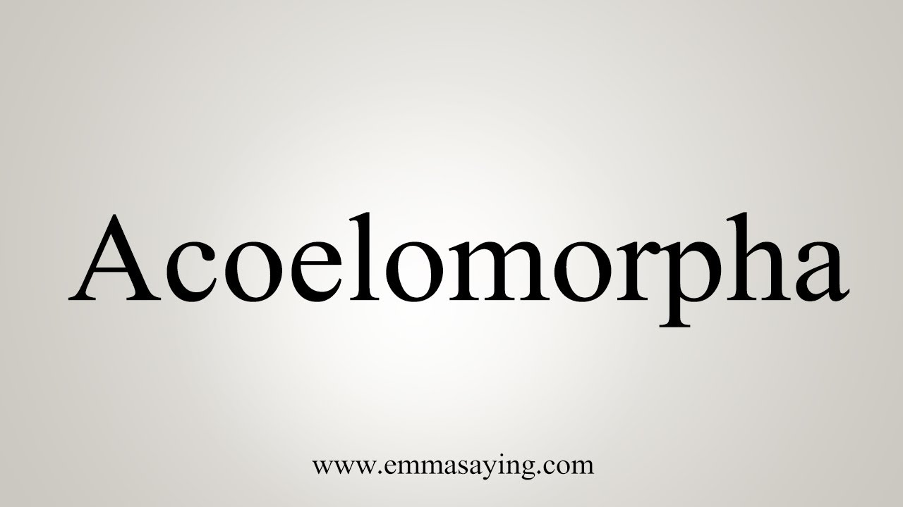 How To Say Acoelomorpha