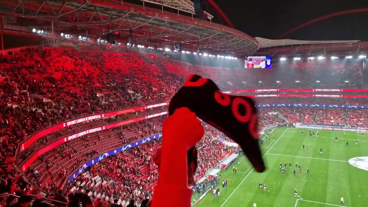 Summer Jam - EU AMO O BENFICA 😍