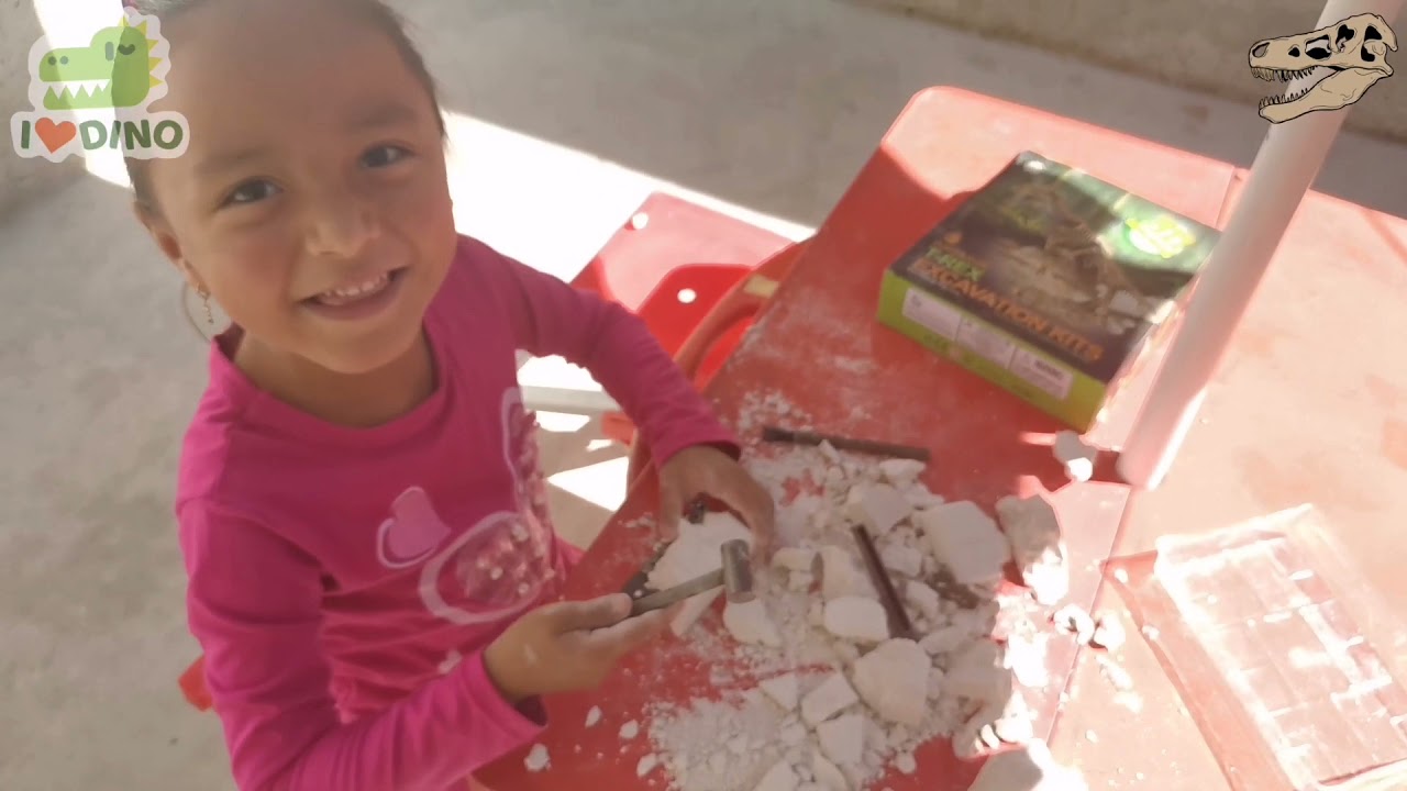 🦖 Kit de excavacion dinosaurio T-Rex, juego para niños / T-Rex excavation kits, game for kids
