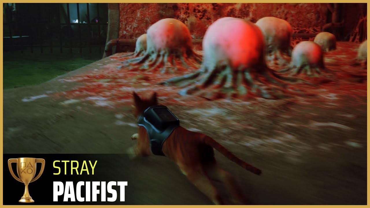 STRAY - Pacifist Trophy | PS4 - PS5