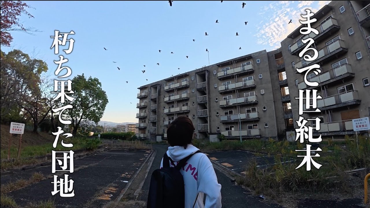 まるで世紀末。朽ち果てた大規模団地に大量のカラスが群れる・・・衝撃の光景がそこに