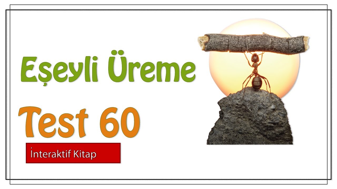 Test 60 #sayfa135