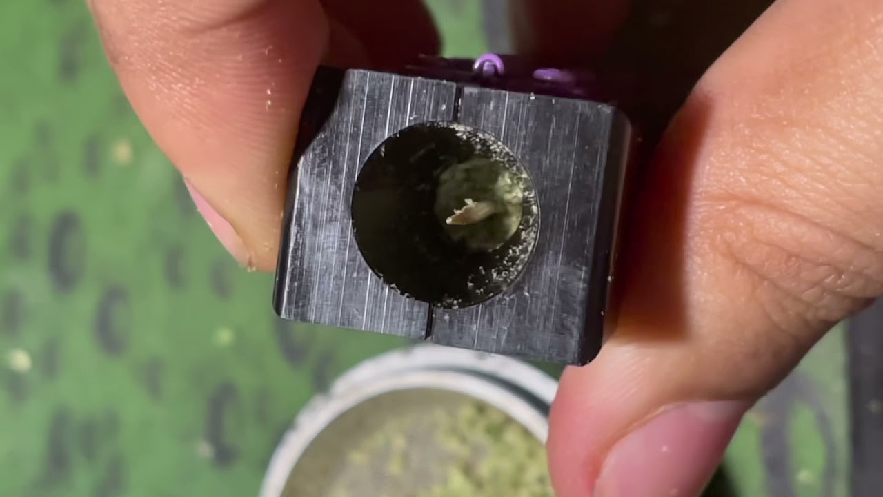 TSHR||EXCLUSIVE 1G Cannagar mold honest review || Trap Shack 710 !!!!!