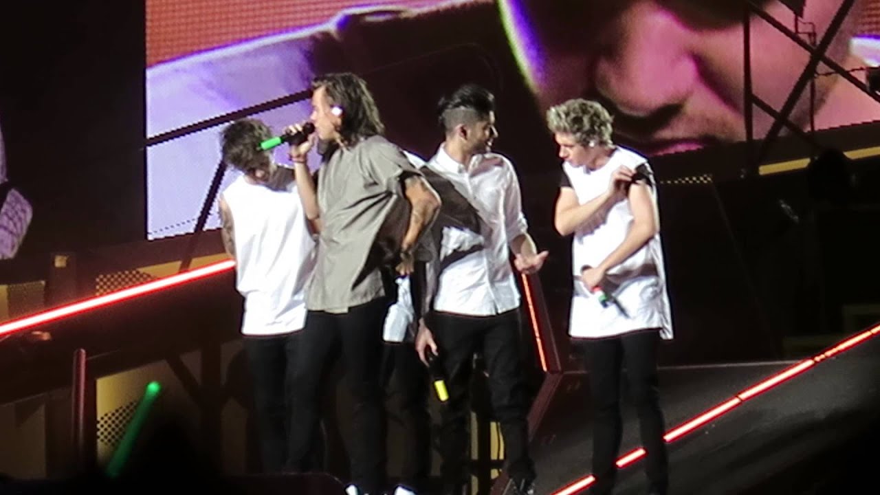 One Direction OTRATourJapan 150302 One Thing-What Makes You Beautiful