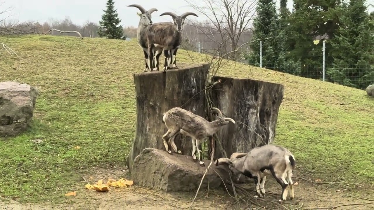 19 марта 2026 г.