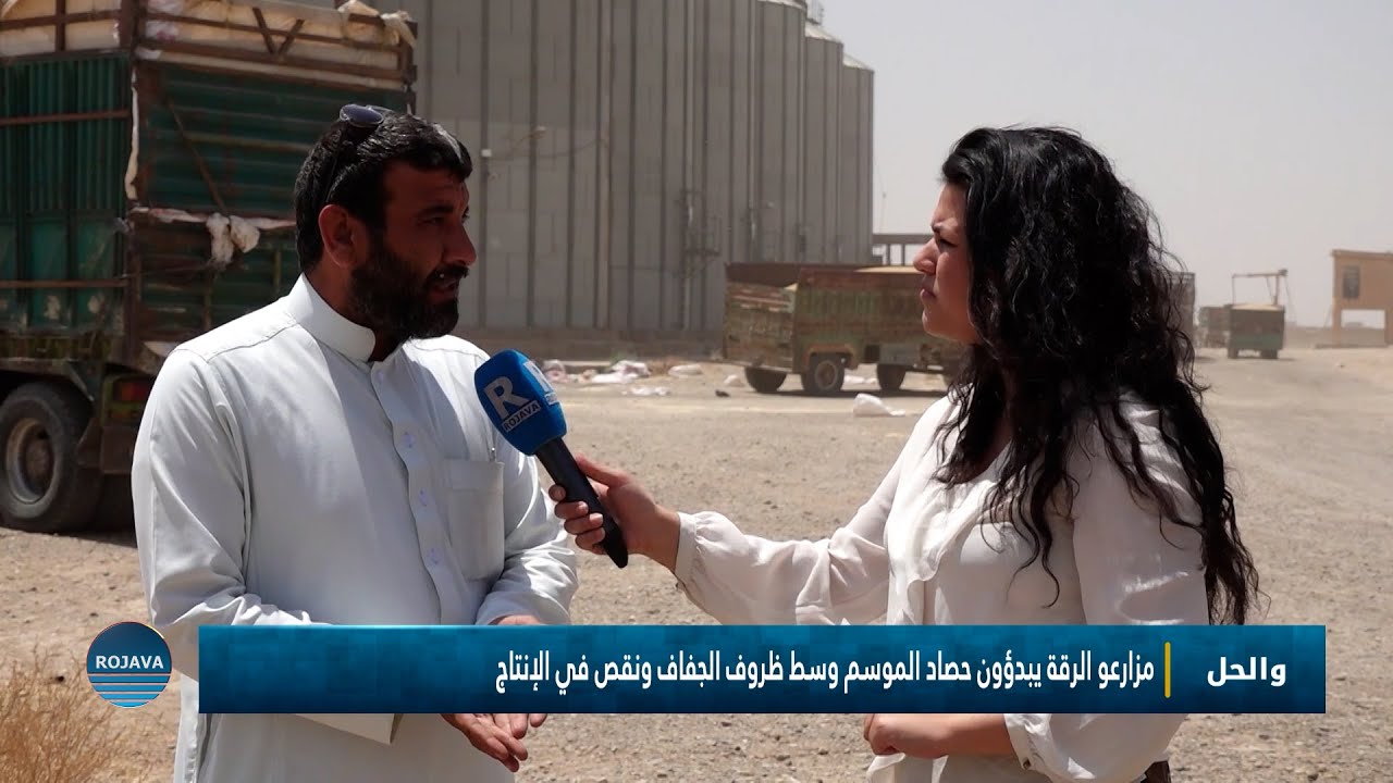 والحل || مزارعو الرقة يبدؤون حصاد الموسم || 17 – 6 – 2025