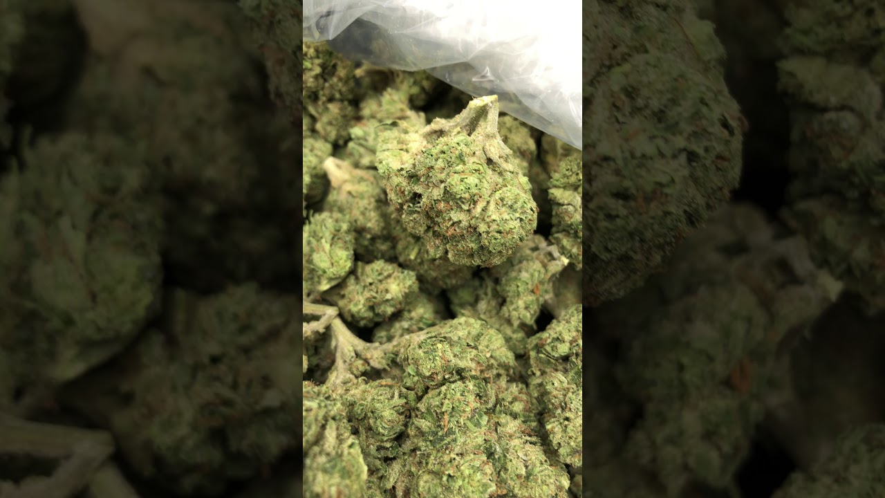 Jet fuel og